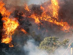 洛杉磯爆發史上最大山火，宣布進入緊急狀態